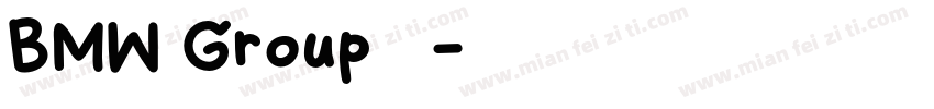 BMW Group 中文字体转换
